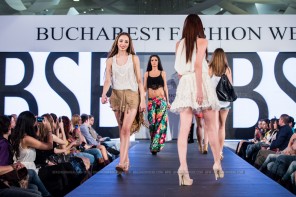 BFW – spring 2014: BSB