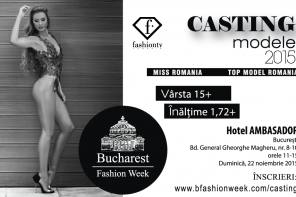 Casting BFW: duminica, 22 Noiembrie, Hotel Ambasador (Bucuresti)